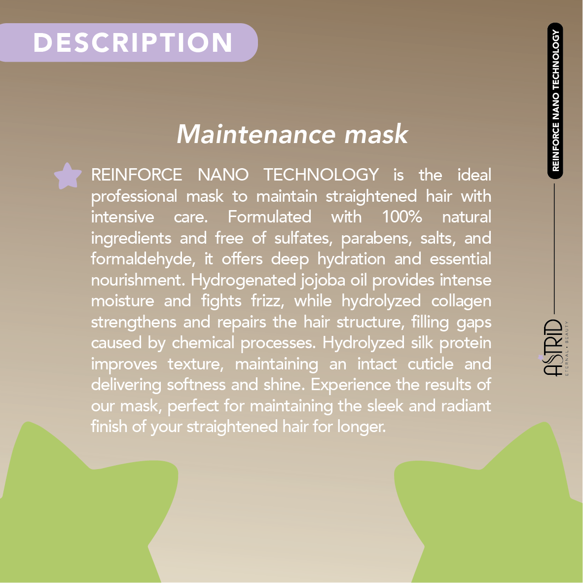 Maintenance Mask Reinforce Nanoplasty 250g by Astrid